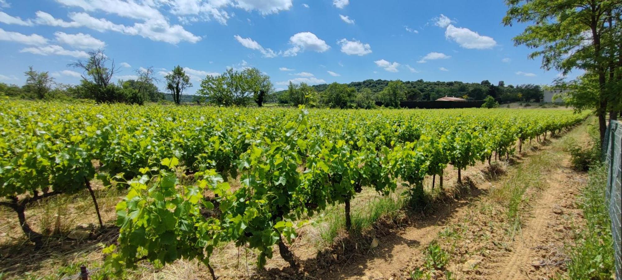Carrefour De L'ardeche *